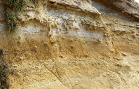 ESG & Sustainability editorial image — saurabhlaw.com