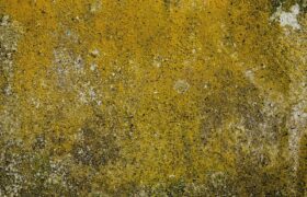 Risk & Resilience editorial image — saurabhlaw.com