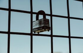 A close-up of a padlock securing a wire fence, symbolizing protection and safety.