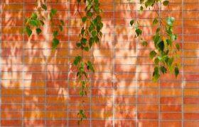 Editorial image — saurabhlaw.com