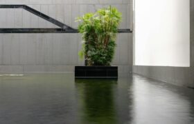 Editorial image — saurabhlaw.com