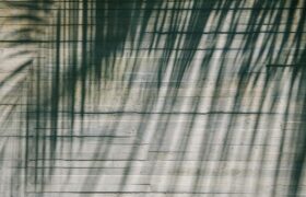 Editorial image — saurabhlaw.com